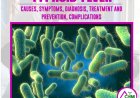 Typhoid fever : causes, symptoms, diagnosis, treatment, prevention and complications - Naija health media
