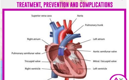 Arrhythmia : causes, symptoms, diagnosis, treatment, prevention and complications - Naija health media