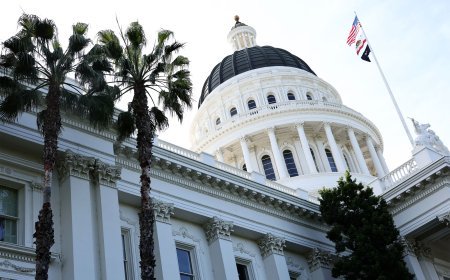 Fighting Staff Shortages With Scholarships, California Bill Aims To Boost Mental Health Courts