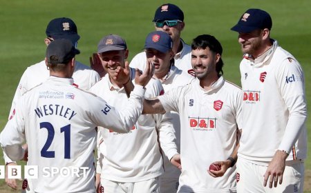 Essex skittle Bears for 78 as 19 wickets tumble