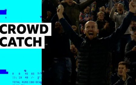 Spectator makes spectacular crowd catch