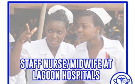 Job Opportunity : Staff Nurse/Midwife at Lagoon Hospitals