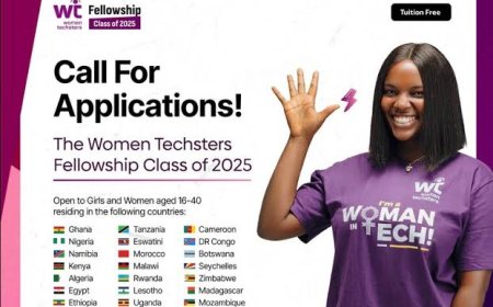 Women Techsters Fellowship 2025: Empowering African Women in Technology