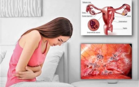 KUMBURIN MAHAIFAH MAI SAH ZUBAR DA JINI