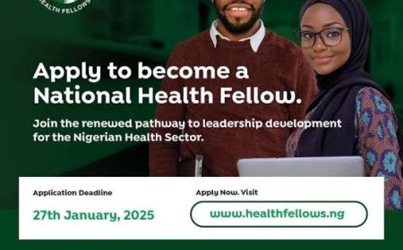 National Health Fellows Programme 2025 for Young Nigerians