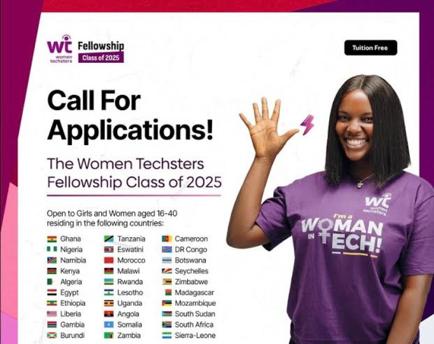 Women Techsters Fellowship 2025: Empowering African Women in Technology