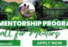 Call for Mentors: FAO-PAFO Youth Mentorship Program