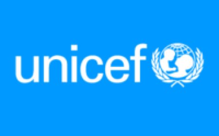 NGO job : National Consultant at the United Nations International Children’s Emergency Fund (UNICEF) 9 month contract job (Apply now)