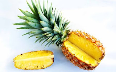 Yadda abarba ke Gina jiki