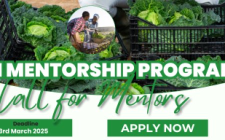 Call for Mentors: FAO-PAFO Youth Mentorship Program