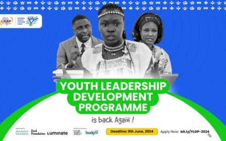 Nigerian Youth Futures Fund Youth Leadership Development Programme 2025 | Apply Now