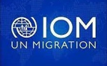 Job oppotunity: National Project Officer Position at International Organization for Migration (IOM) Apply now)