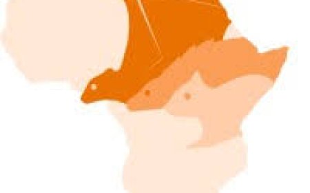 Job Opportunity: Communications Officer at Small Mammal Conservation Organization (SMACON)|Apply now