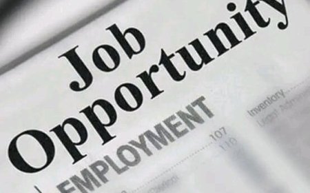 Apply for Immunization Enumerator Recruitment – Katsina State