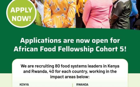 Empowering Food Systems Leaders: The African Food Fellowship Is Recruiting!