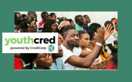 Apply For FG YouthCred Financial Empowerment 2025 For Nigerian Youth