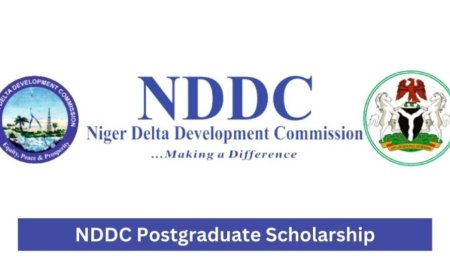 2025 NDDC Postgraduate Scholarship to Study Abroad | Fully Funded