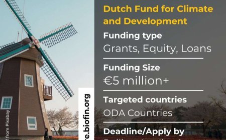 Funding Opportunities for Climate and Biodiversity Projects: The Dutch Fund for Climate and Development (DFCD)