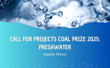 COAL Prize 2025: Freshwater – A Call for Transformative Art