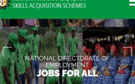 Call For Applications: National Directorate of Employment (NDE) Skill Acquisition Program 2025