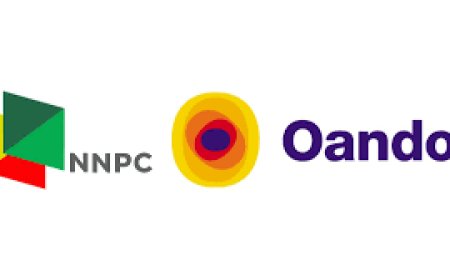 Link to Apply For The NNPC OANDO Scholarship 2025 For Undergraduates