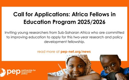 Africa Fellows in Education Program 2025/2026 – Call for Applications