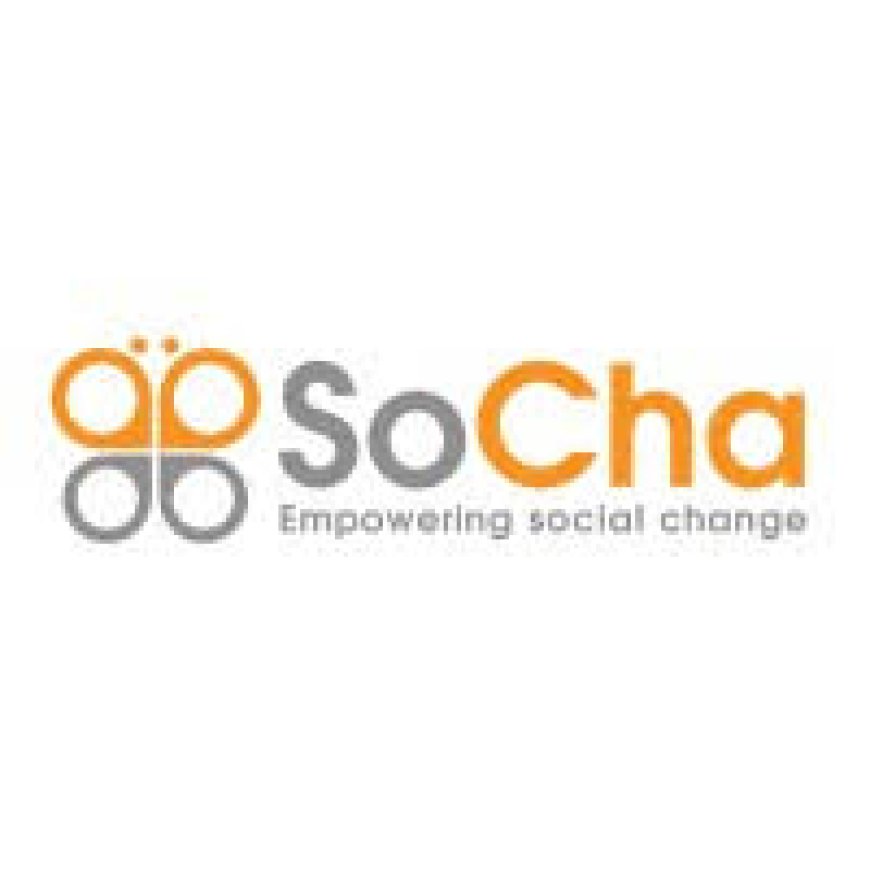 Advocacy Expert for End-of-Project Evaluation of a Multi-Country Sustainability Programme
