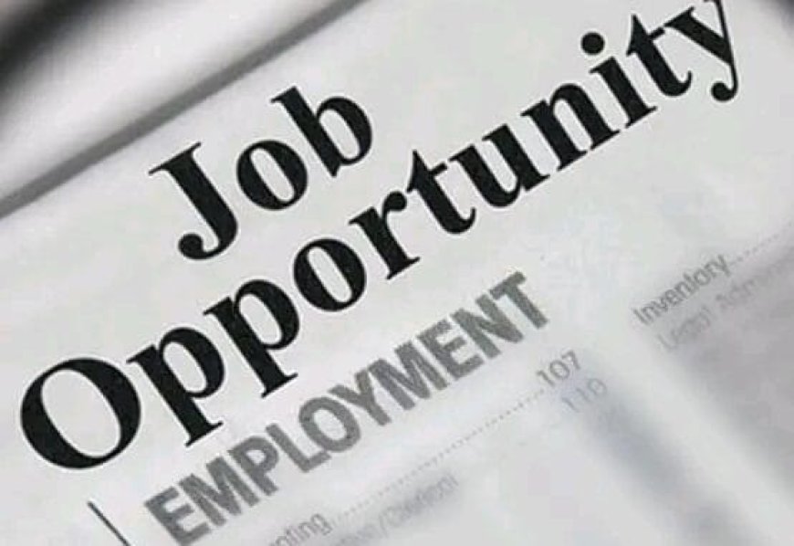 Apply for Immunization Enumerator Recruitment – Katsina State