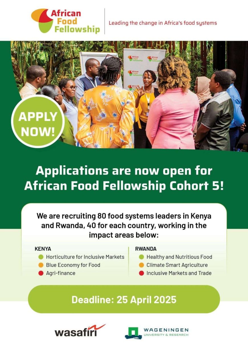Empowering Food Systems Leaders: The African Food Fellowship Is Recruiting!