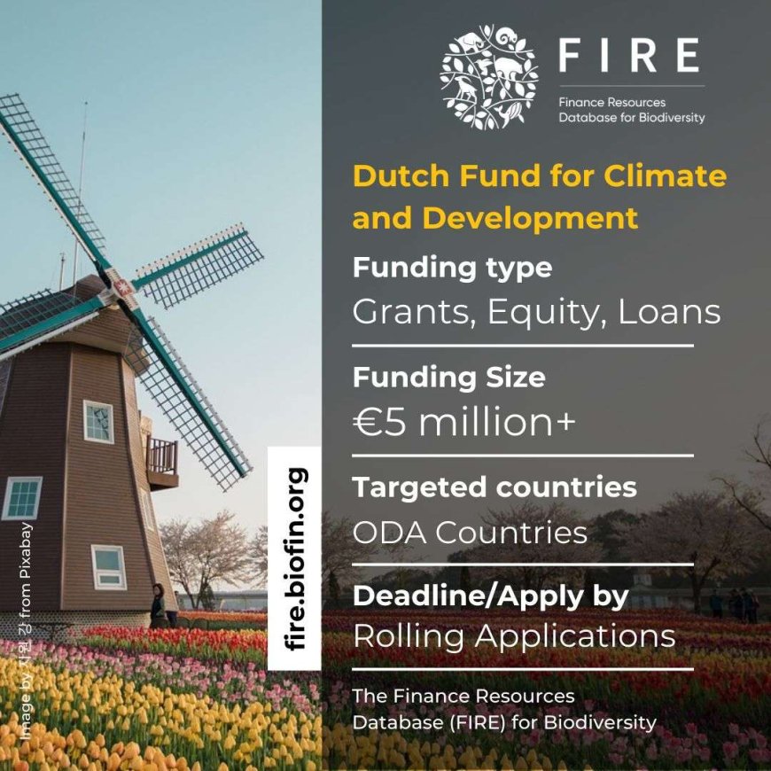 Funding Opportunities for Climate and Biodiversity Projects: The Dutch Fund for Climate and Development (DFCD)