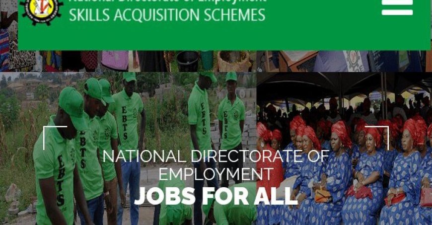 Call For Applications: National Directorate of Employment (NDE) Skill Acquisition Program 2025