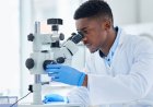 Job Opening: Medical Lab Technician / Science Lab Technician at Cypresshill Hospital - Salary Range ₦100,000 - ₦150,000 per month