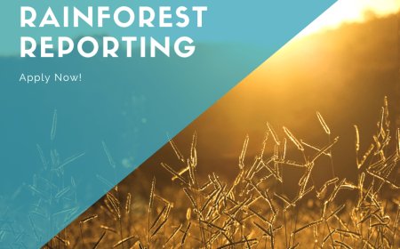 Supporting Independent Journalism: The Rainforest Reporting Grant
