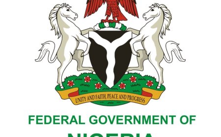 FG Opens Application Portal For MSME Funding, Receives 60,000 Entries