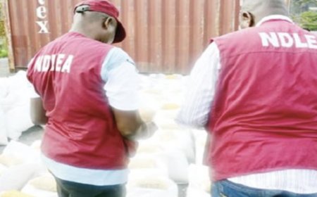 NDLEA arrests grandfather, siblings for drugs