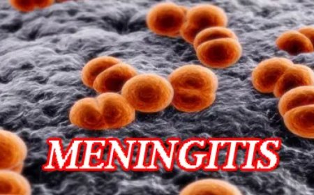 Nigeria faces meningitis outbreak with 151 deaths 1,826 suspected cases