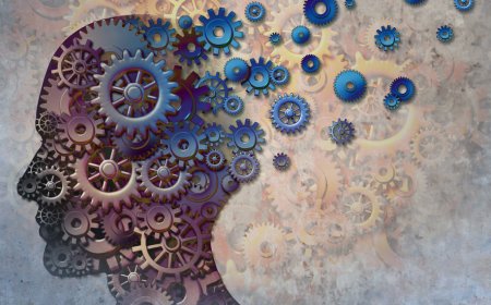 Metacognitive abilities are linked to physical activity, diet, and sleep quality