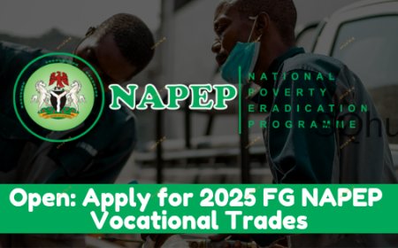 Apply: NAPEP Open 2025 Vocational Trades Portal To Train Nigerians