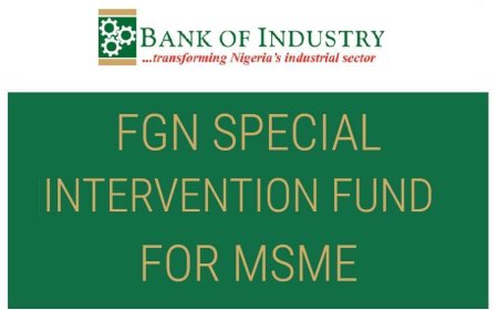Take This Action If You Applied For FG BOI N75B MSME Intervention Fund