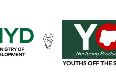 What You Should Do Next After Applying for the Youth Economic Intervention and De-Radicalization Programme (YEIDEP)