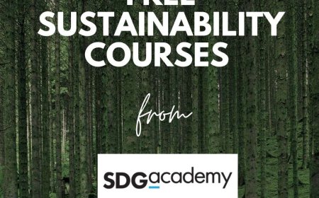 29 FREE Sustainability courses from SDG Academy