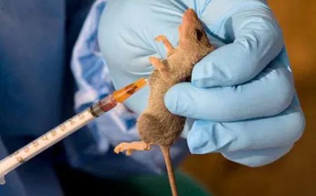 Lassa Fever: Farmers store owners urged to avoid drying grains on ground