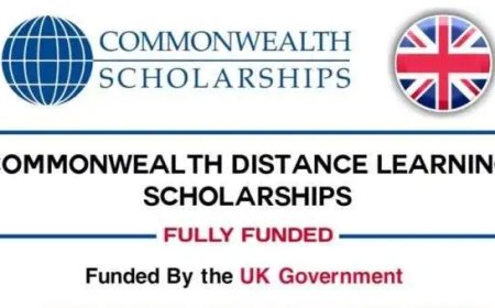 Commonwealth Distance Learning Master’s Scholarships 2025/2026 for developing Commonwealth countries (Fully Funded)