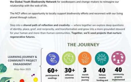 Nature Cultural Fellowship (NCF) 2025: Support for Art-Led Ecological Healing Projects