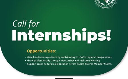 Apply Now: IGAD Internship Programme 2025 for Students and Young Professionals in Africa