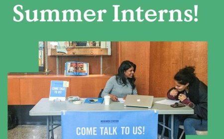 Calling All Changemakers: Summer 2025 Internship Opportunity with the Public Policy Lab