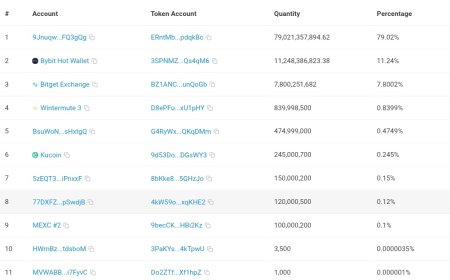 Labari mai daɗi ga wadanda basuga Allocation dinsu na $PAWS Domin kuwa Ankarawa Bybit Exchange Yawan Token din zuwa 11,248,386,823.38 a Halin yanzu