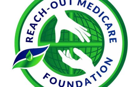 NGO jobs : Mental Health Officer at Widow’s Mite Reach Out Foundation