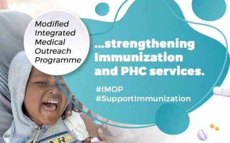 Job opportunity: Director of Programs and Primary Healthcare  at CHAI Nigeria | Apply now