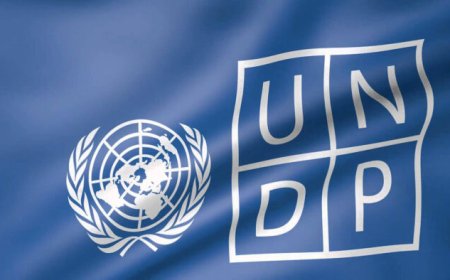 Job Opportunity: Administrative Officer (Premises & Facilities Management) at UNDP Nigeria